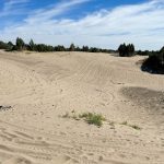 Sand dunes in St. Anthony