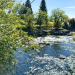 Scenic river flowing through town