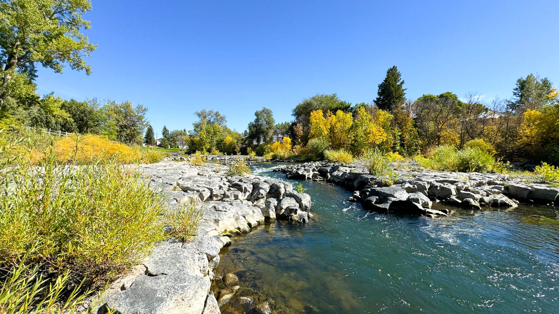 River flowing amongst some rocks and fall trees