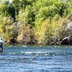 Fisherman in the Henry's Fork River near St. Anthony