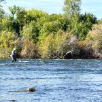 Fisherman in a river near St. Anthony